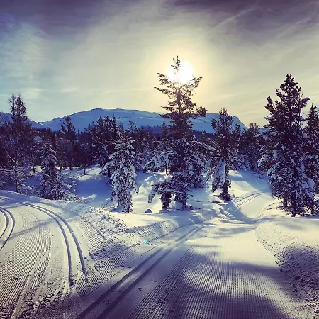 Hotel Rondeslottet Hoyfjellshotell
